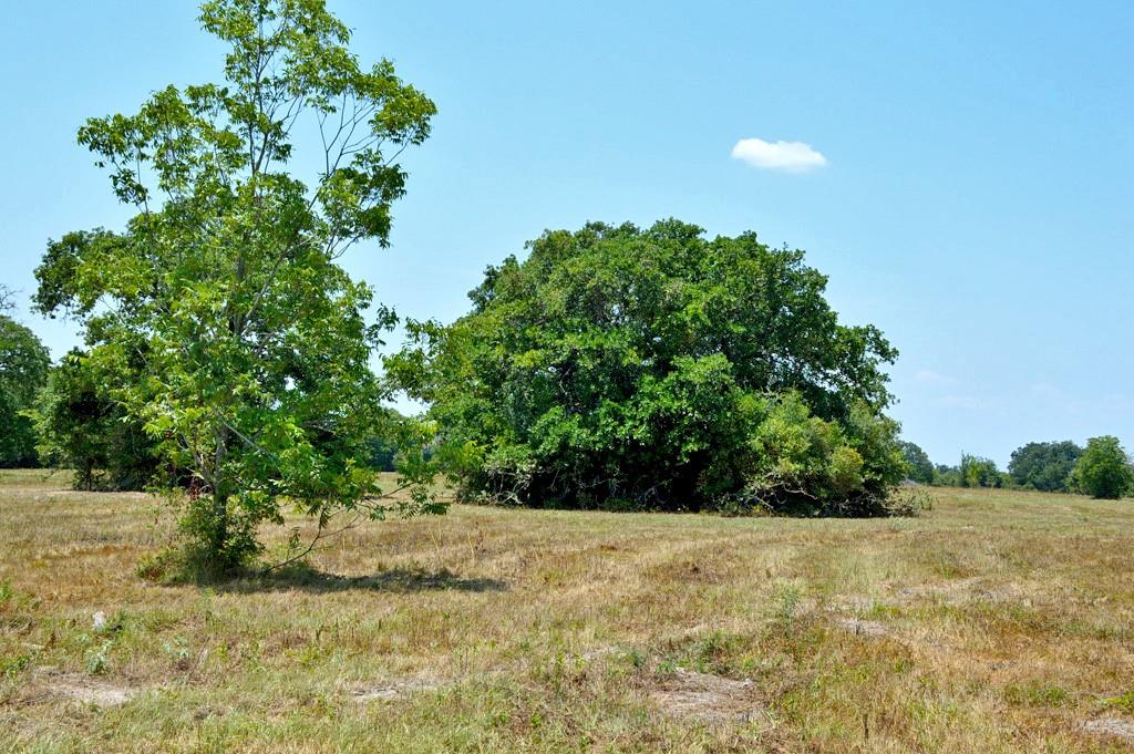 TBD 119 Fm 1227, Navasota, Texas image 7