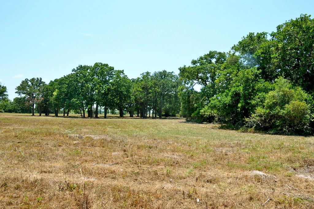 TBD 119 Fm 1227, Navasota, Texas image 8