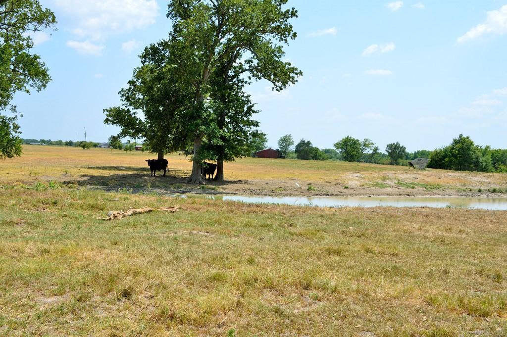 TBD 119 Fm 1227, Navasota, Texas image 17