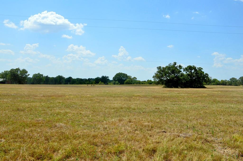 TBD 119 Fm 1227, Navasota, Texas image 15