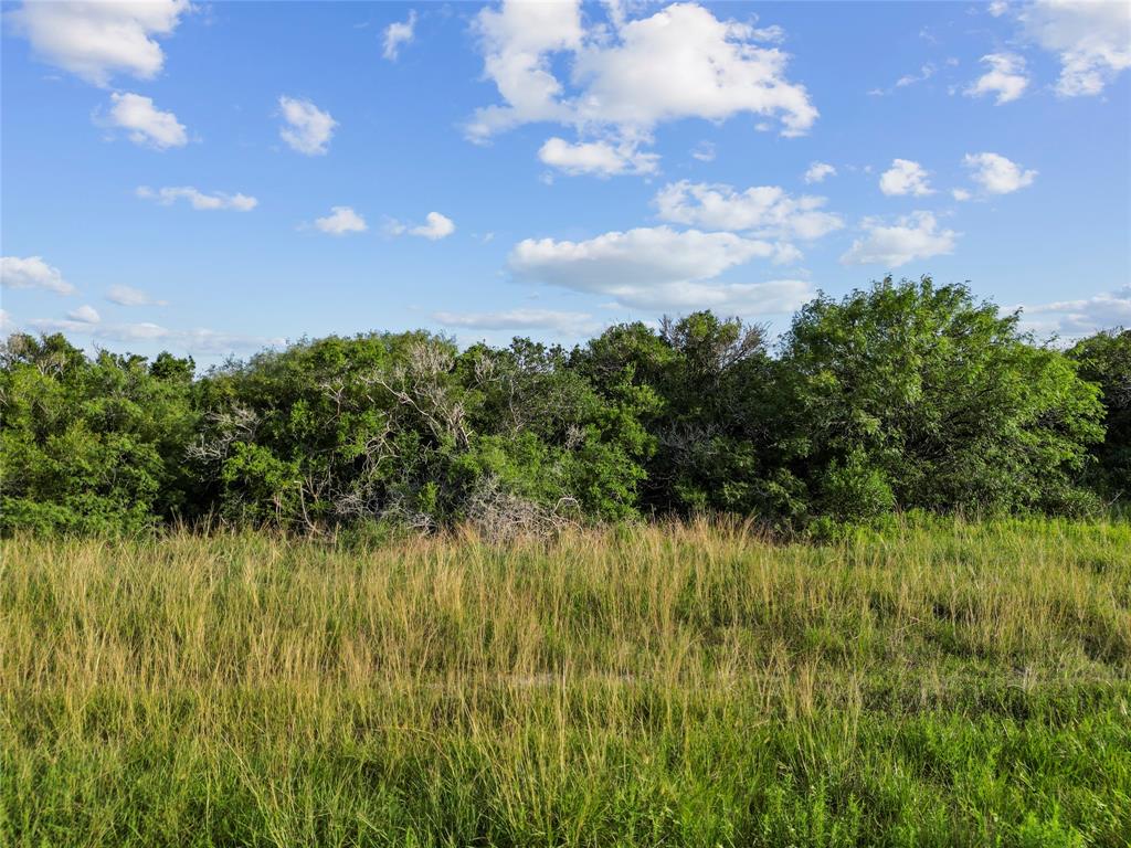 0000 Fivemile Trail, Palacios, Texas image 9