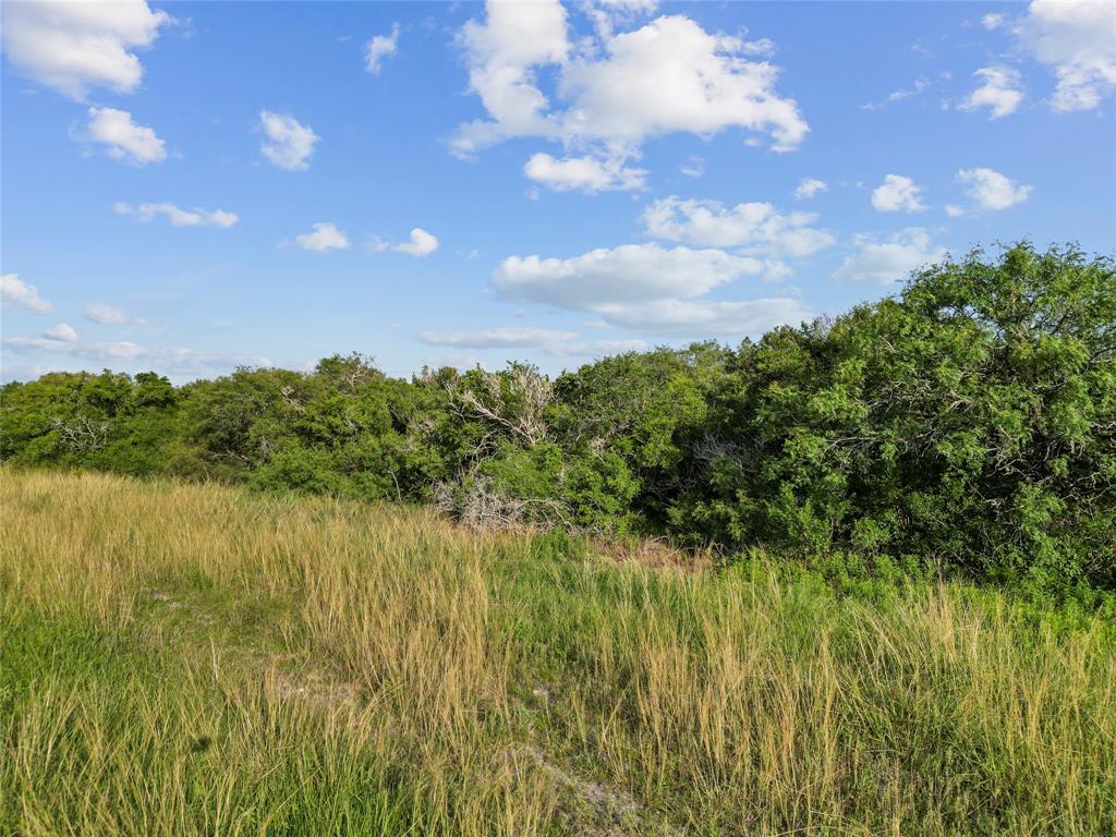 0000 Fivemile Trail, Palacios, Texas image 10