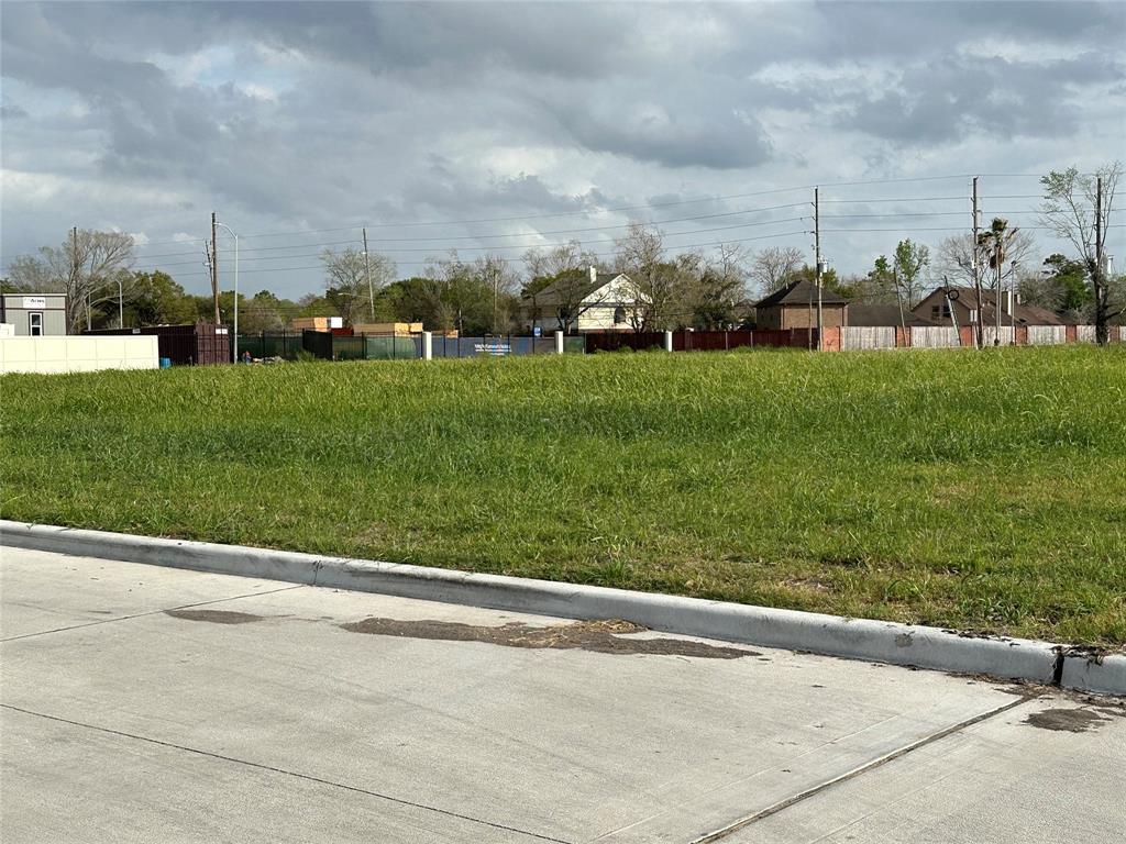 Cullen Parkway, Pearland, Texas image 28