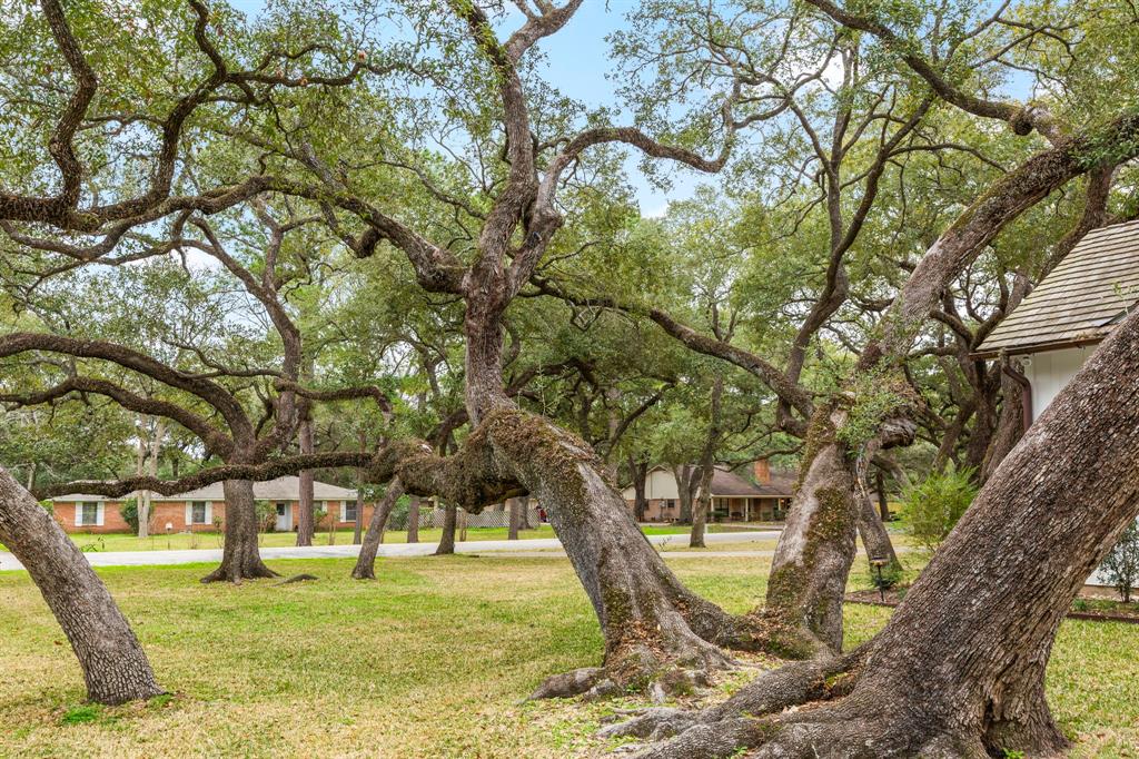 106 Becica Street, Columbus, Texas image 35