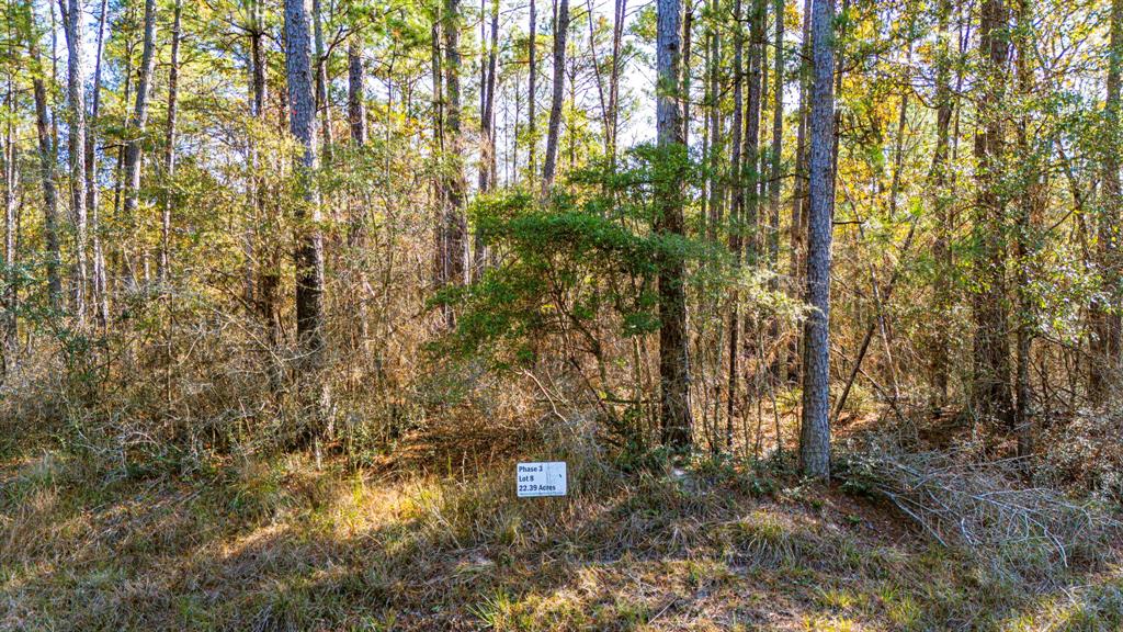 038 Sportsman Retreat Road, Onalaska, Texas image 9