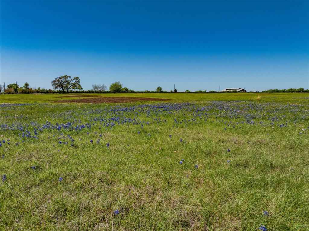 Tract 4 W Fm 1291, Round Top, Texas image 3
