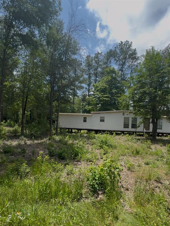 Feldschau, Buna, Texas image 11