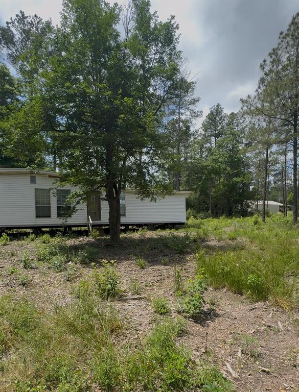 Feldschau, Buna, Texas image 12