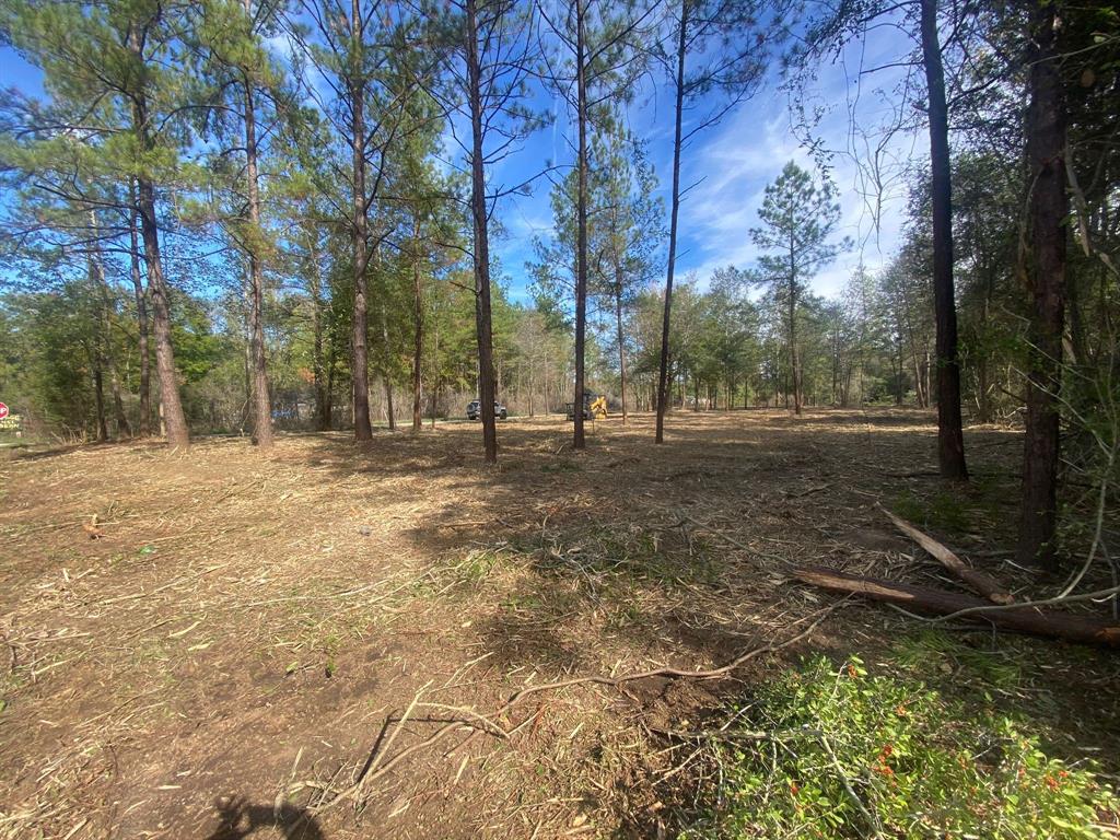 Feldschau, Buna, Texas image 3