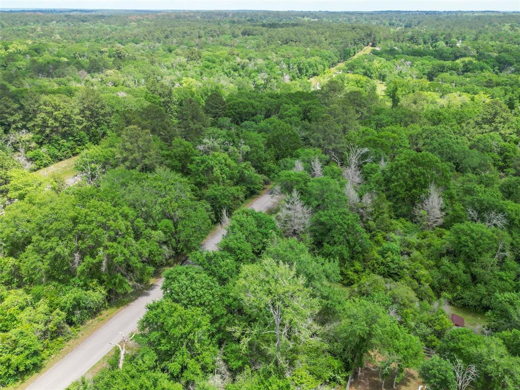 38000 Park View Drive, Hempstead, Texas image 33