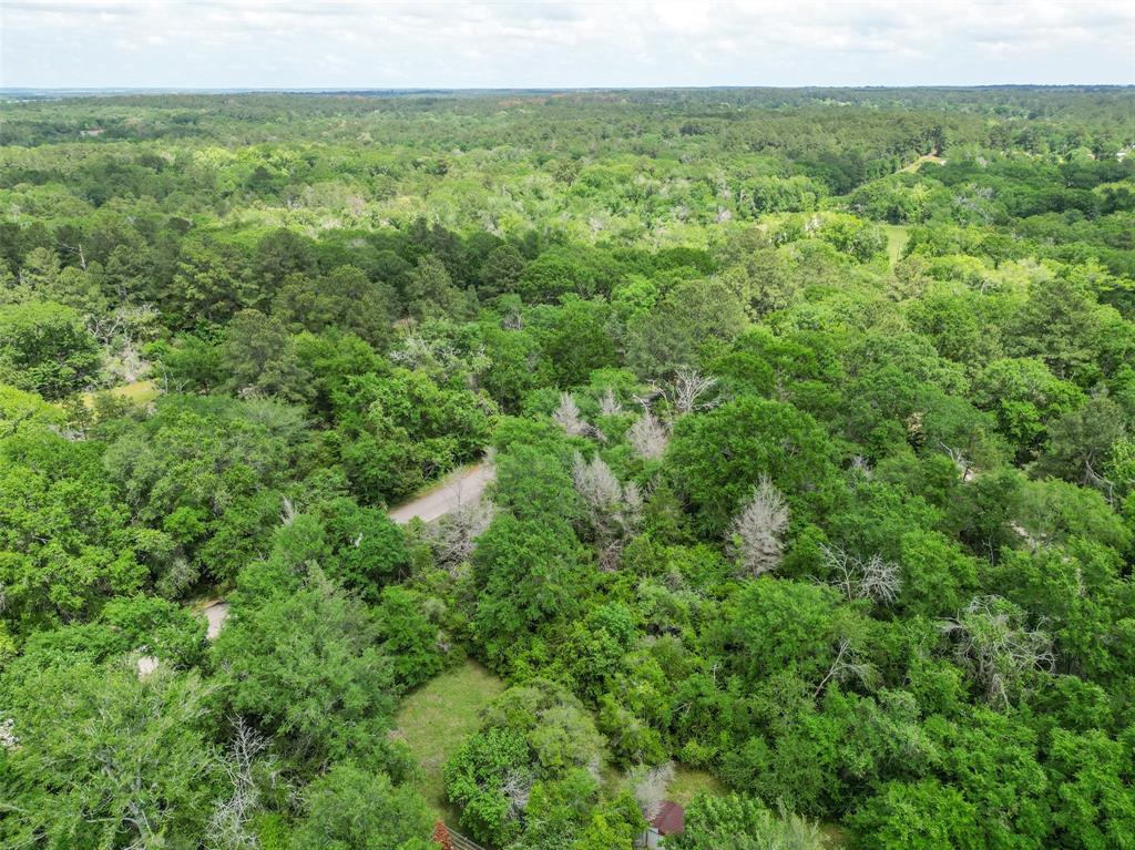 38000 Park View Drive, Hempstead, Texas image 34