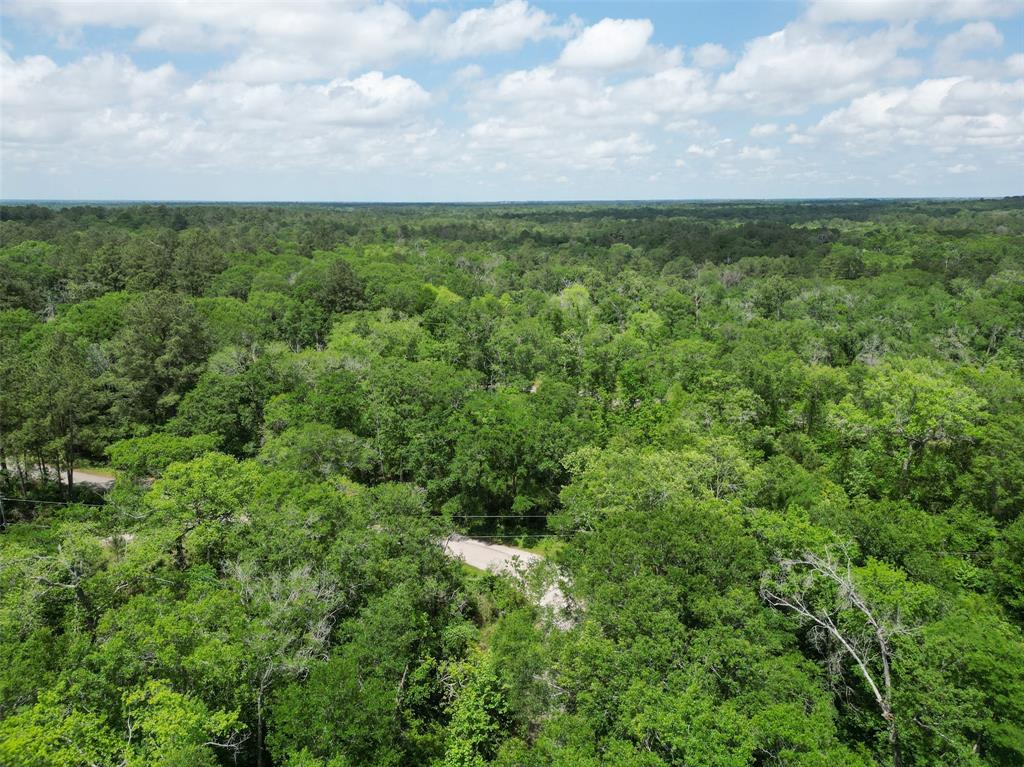 38000 Park View Drive, Hempstead, Texas image 4