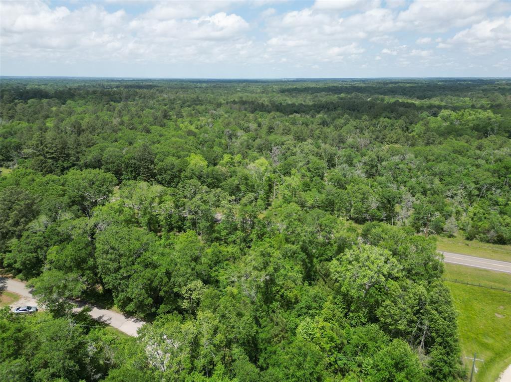 38000 Park View Drive, Hempstead, Texas image 5