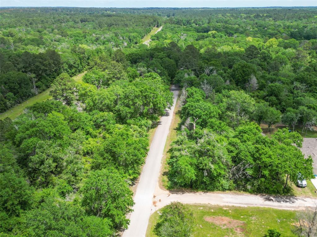 38000 Park View Drive, Hempstead, Texas image 31