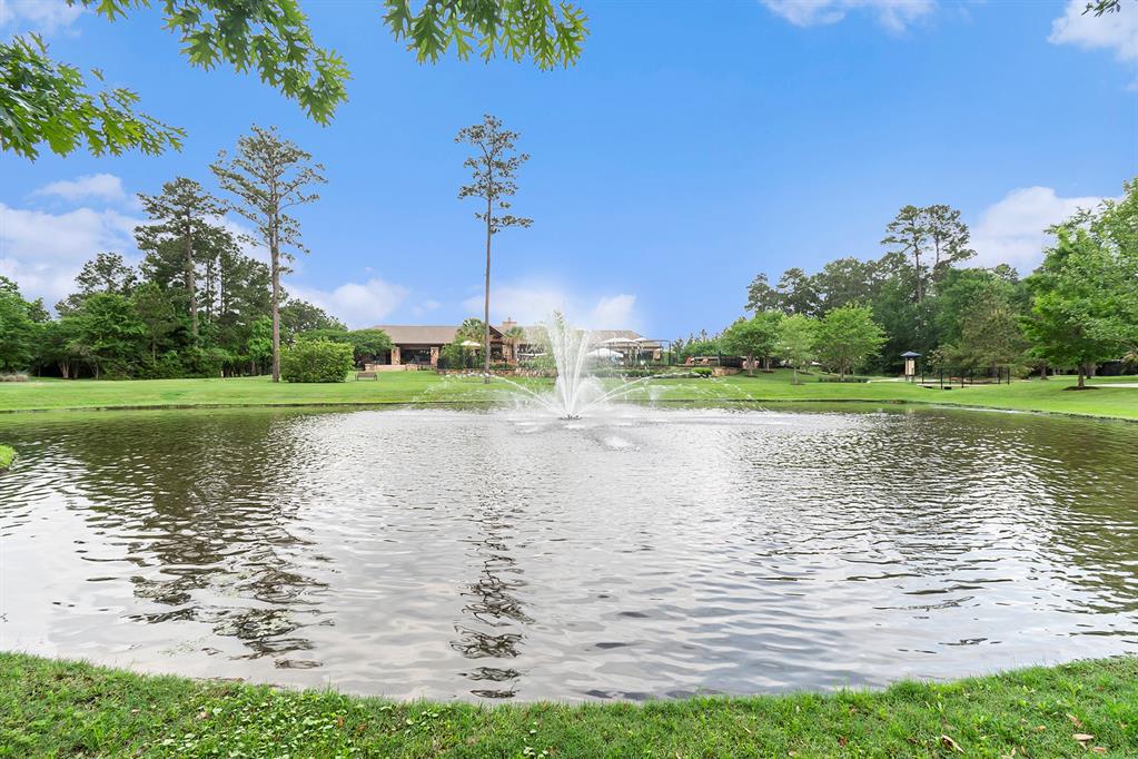 214 N Purslane Way, Montgomery, Texas image 31