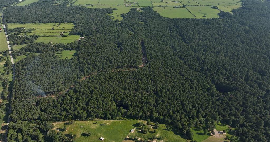 Tbd 150 Fm 362 Road, Waller, Texas image 8