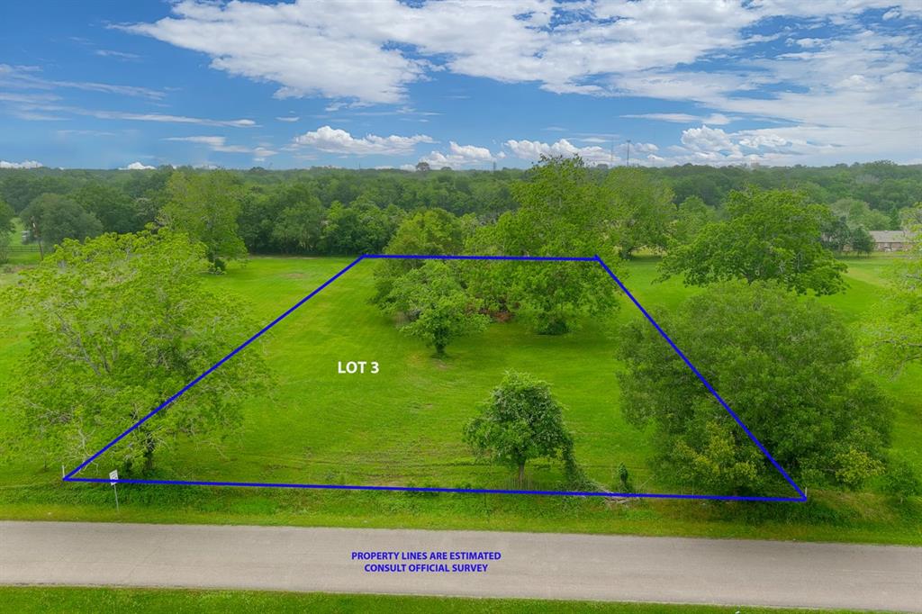 2386 Mamie Ford - Lot 3, Alvin, Texas image 4