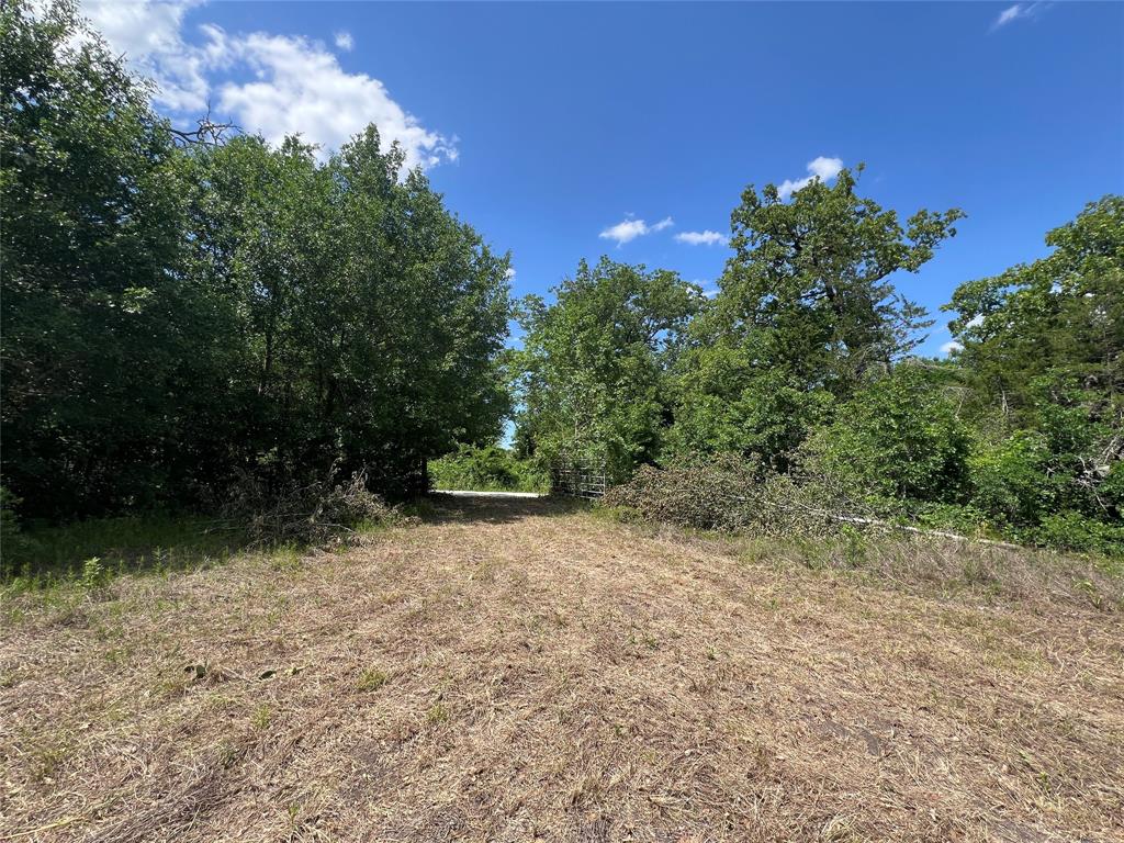 Lot #2 Cr 218 Road, Anderson, Texas image 7
