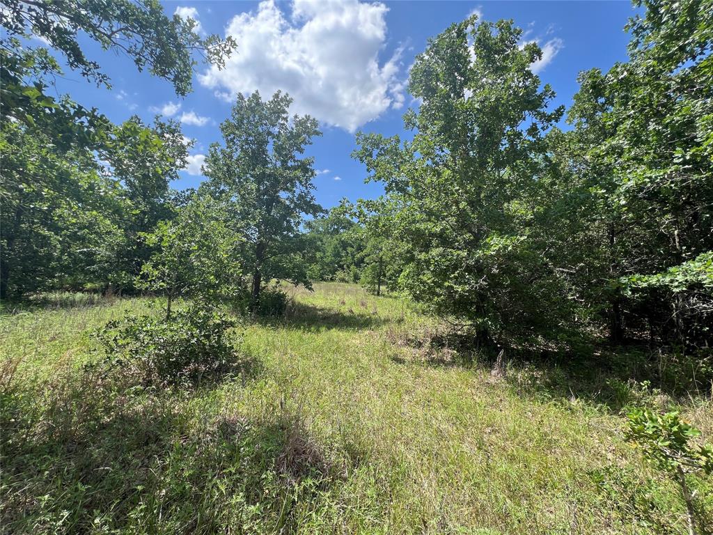 Lot #2 Cr 218 Road, Anderson, Texas image 9
