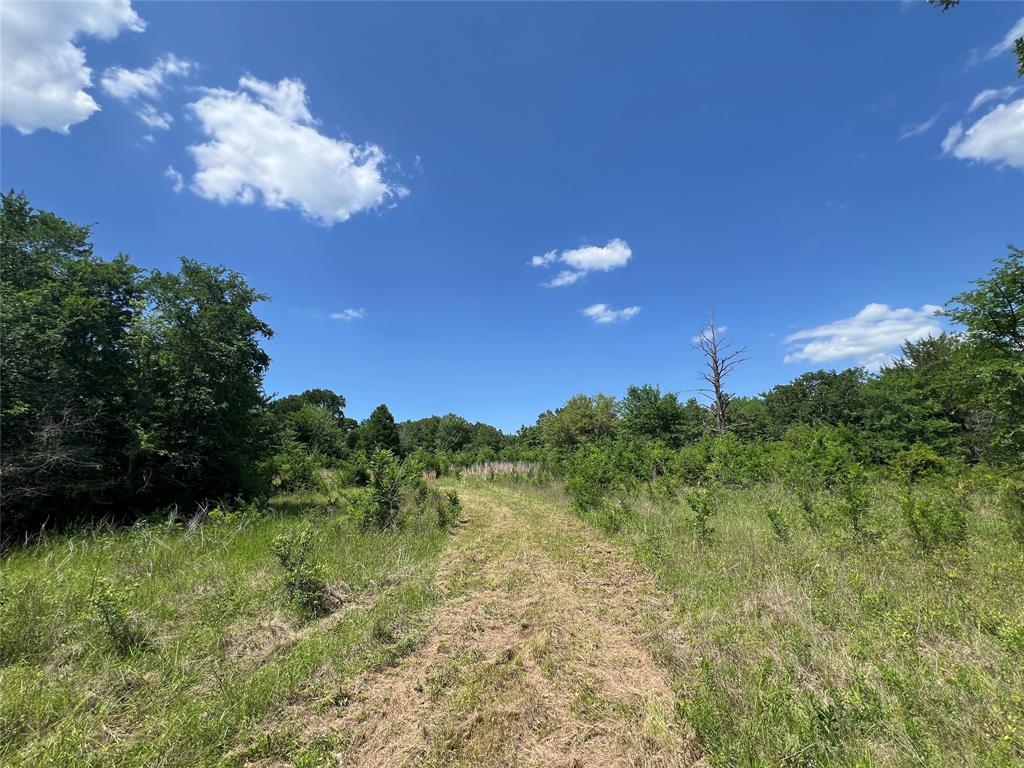 Lot #2 Cr 218 Road, Anderson, Texas image 10