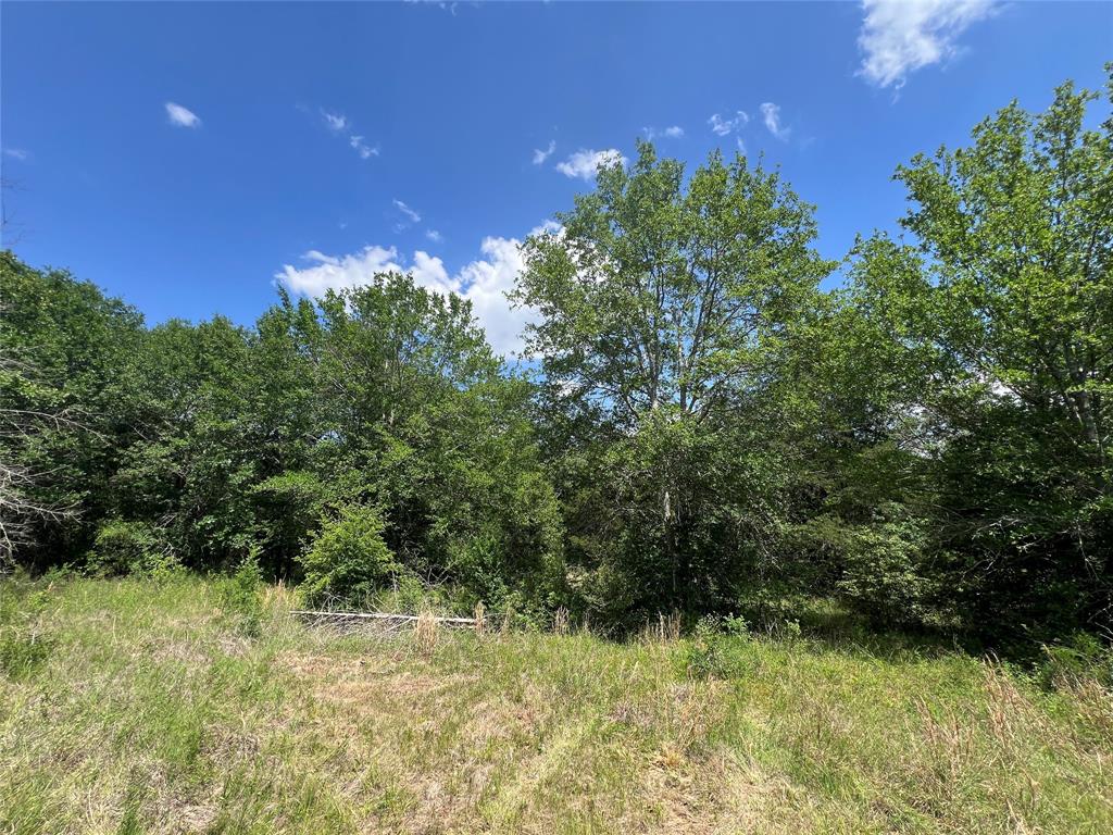Lot #2 Cr 218 Road, Anderson, Texas image 5