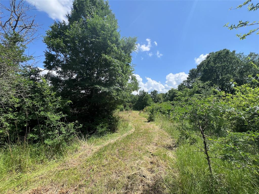 Lot #2 Cr 218 Road, Anderson, Texas image 1
