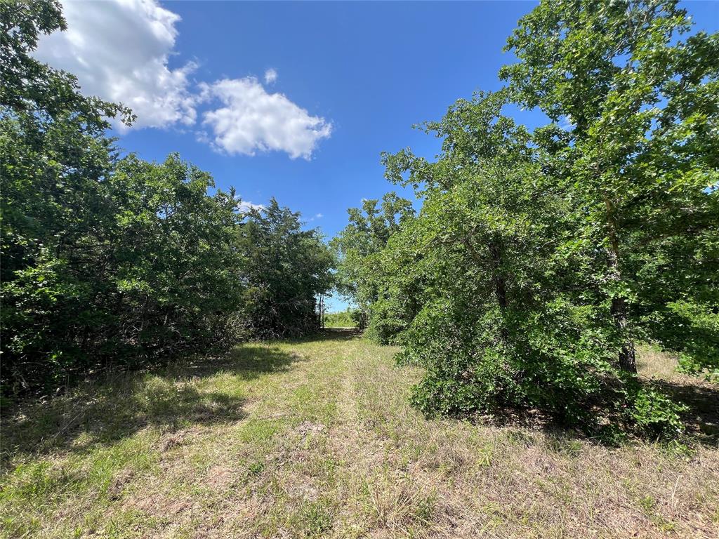 Lot #2 Cr 218 Road, Anderson, Texas image 8