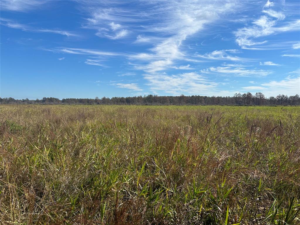 TBD County Road 3114, Buna, Texas image 2