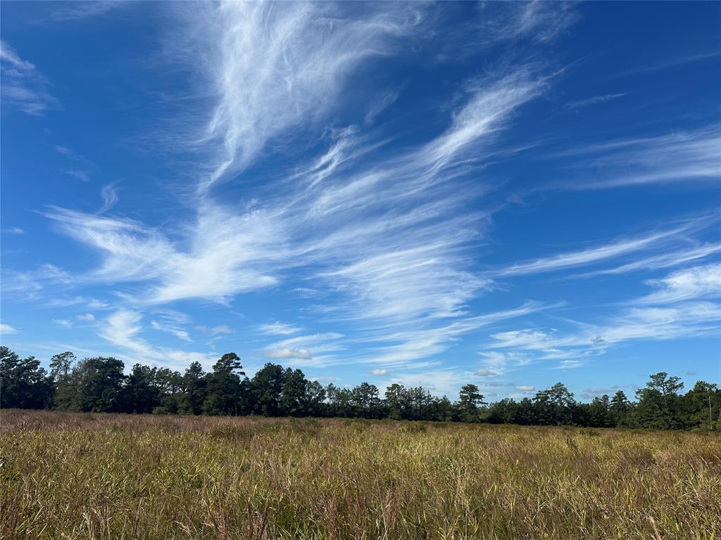 TBD County Road 3114, Buna, Texas image 1