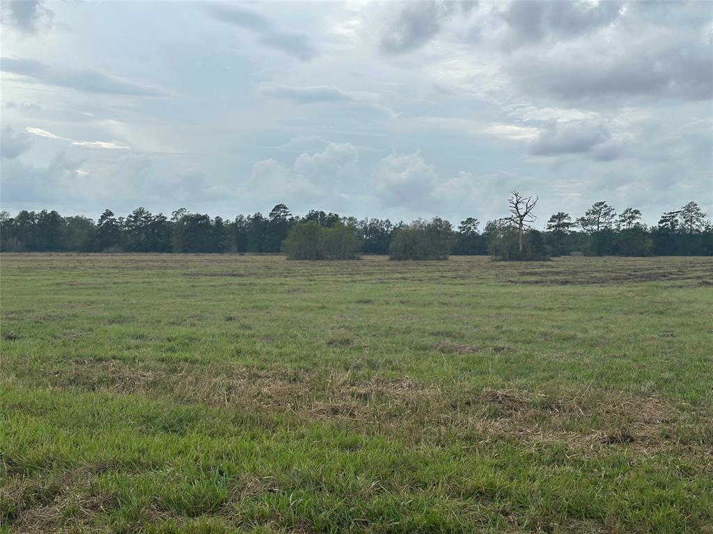 TBD County Road 3114, Buna, Texas image 5