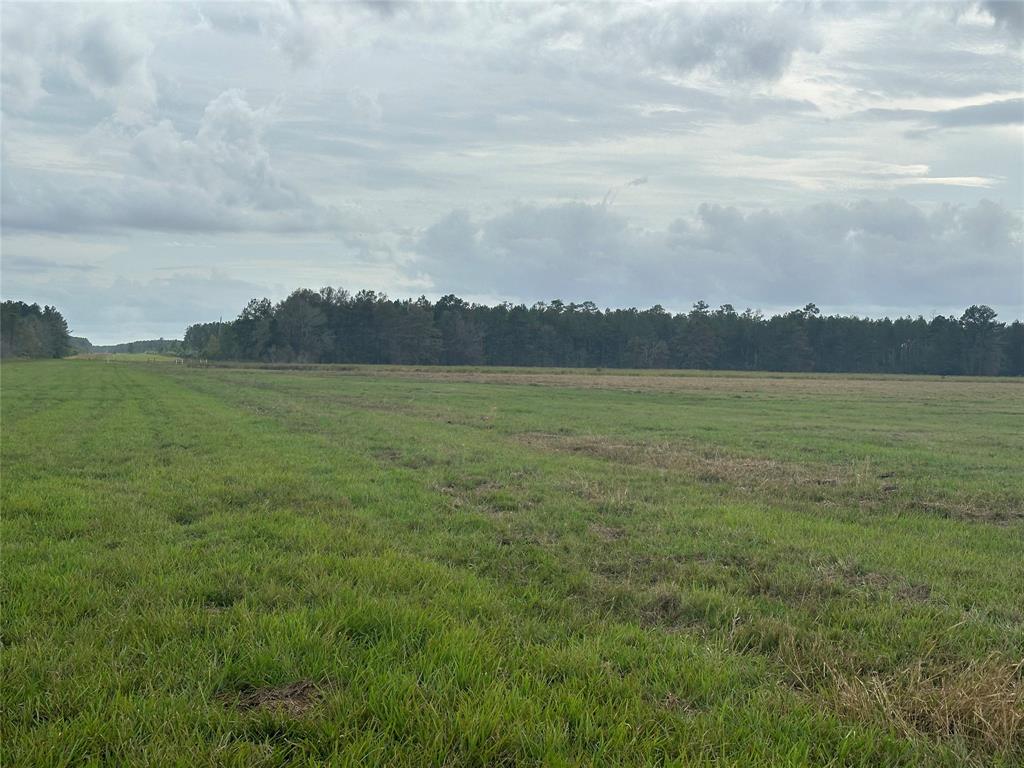 TBD County Road 3114, Buna, Texas image 3