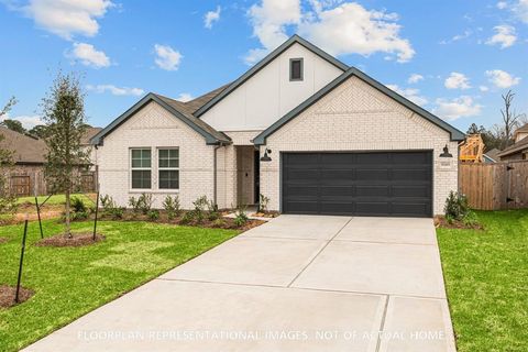 565 Bluebell Maiden Court Magnolia TX 77354