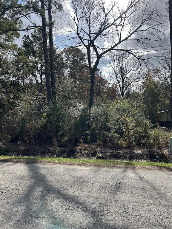 19874 Crystalwood Estates Drive