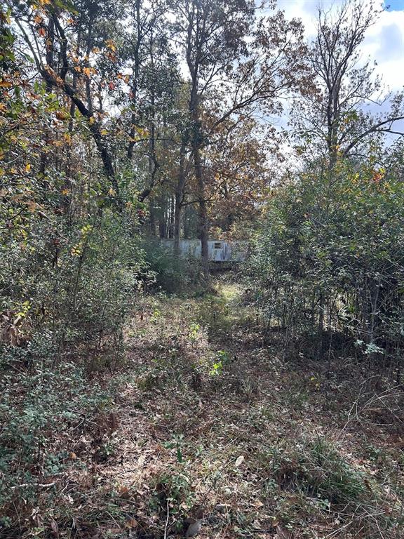 19874 Crystalwood Estates Drive