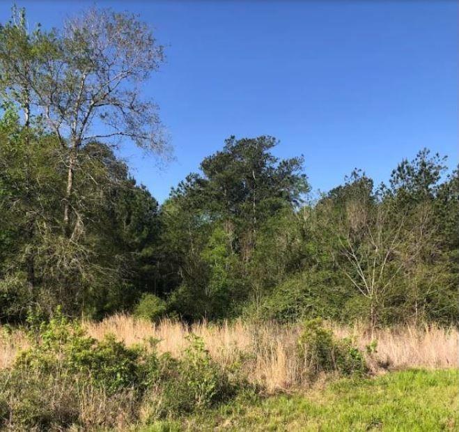 Lot 2 S Fm 562, Anahuac, Texas image 4