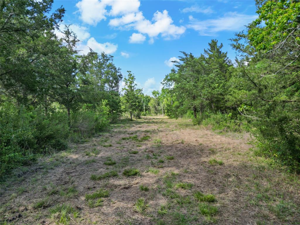 9204 Neville, Hitchcock, Texas image 3