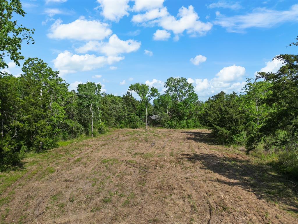 9204 Neville, Hitchcock, Texas image 2