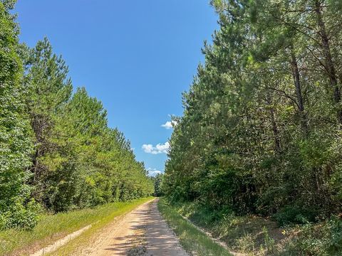 Vacant Land For Sale - 000 Cr 367<br/> Zavalla, TX 75980