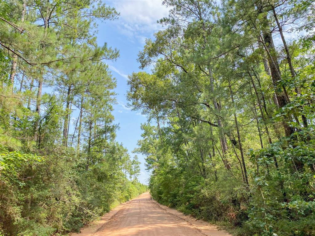 0000000 Red Hollow Rd, Leggett, Texas image 21