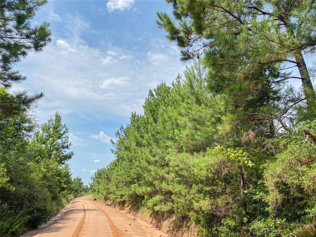 0000000 Red Hollow Rd, Leggett, Texas image 2