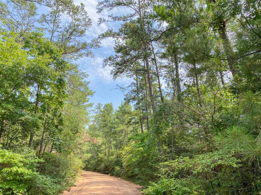 0000000 Red Hollow Rd, Leggett, Texas image 9