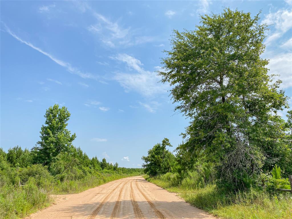 0000000 Red Hollow Rd, Leggett, Texas image 19