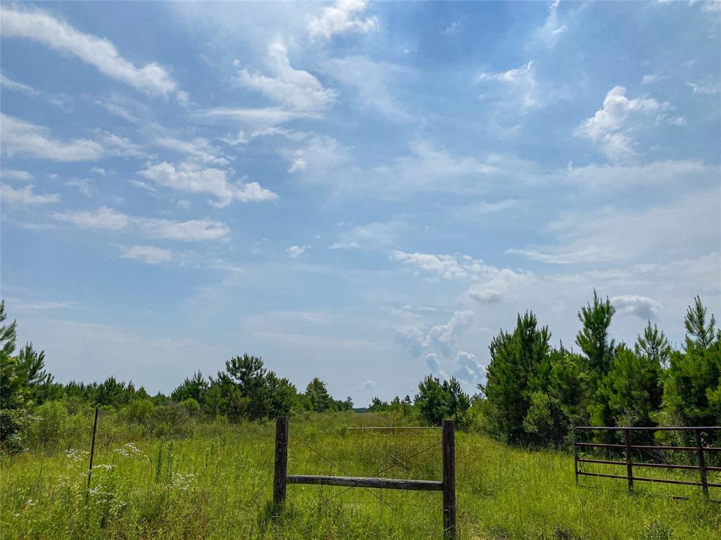 0000000 Red Hollow Rd, Leggett, Texas image 15