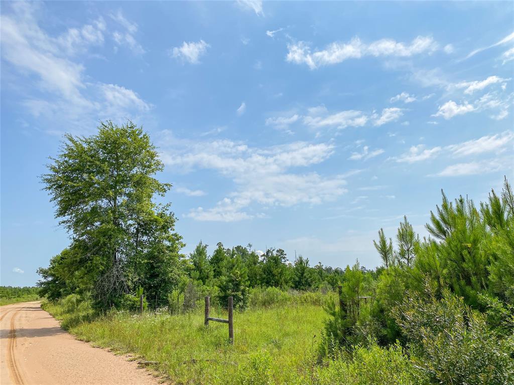 0000000 Red Hollow Rd, Leggett, Texas image 14