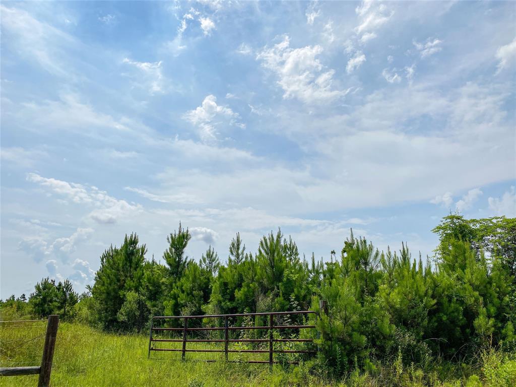 0000000 Red Hollow Rd, Leggett, Texas image 16