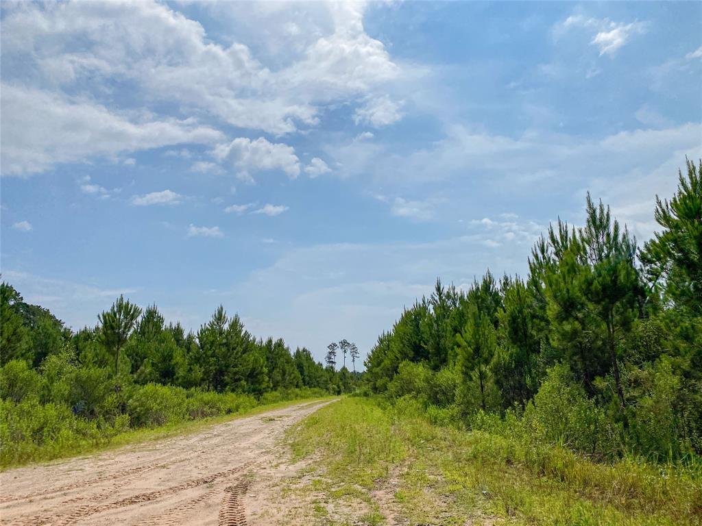 0000000 Red Hollow Rd, Leggett, Texas image 20