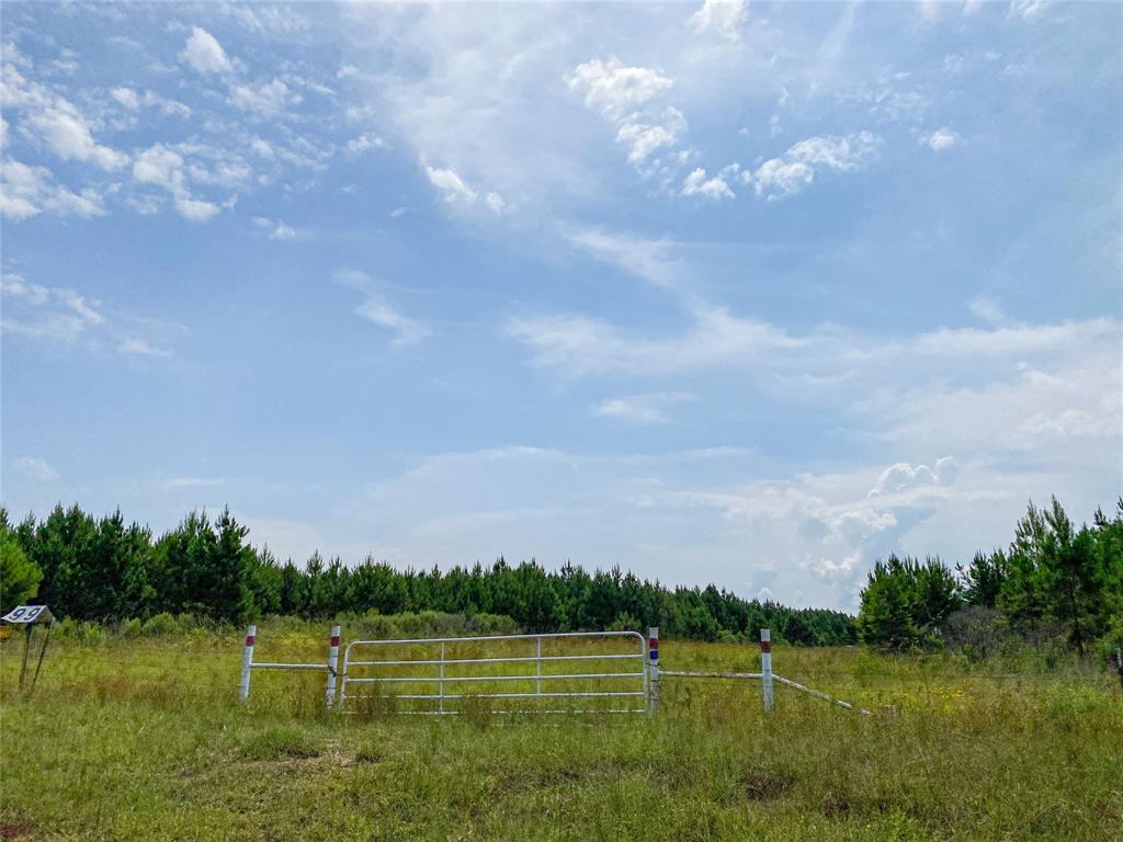 0000000 Red Hollow Rd, Leggett, Texas image 22