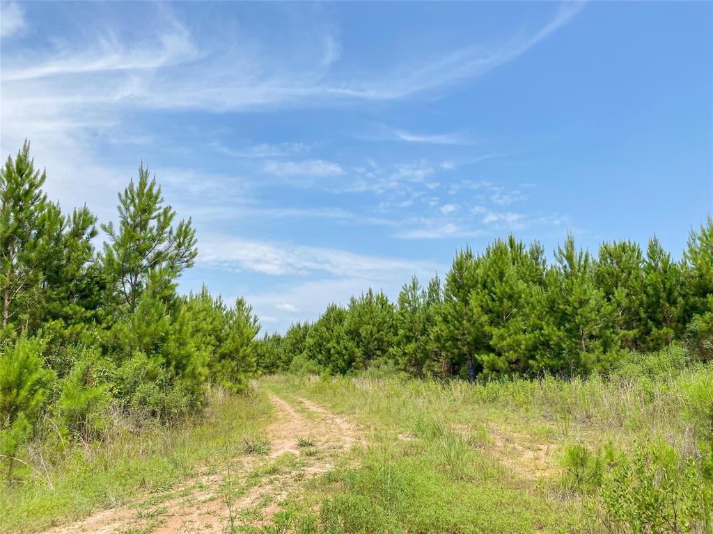 0000000 Red Hollow Rd, Leggett, Texas image 23