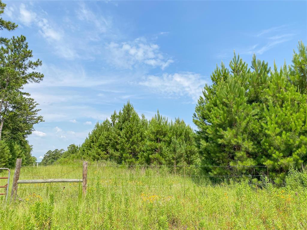 0000000 Red Hollow Rd, Leggett, Texas image 18