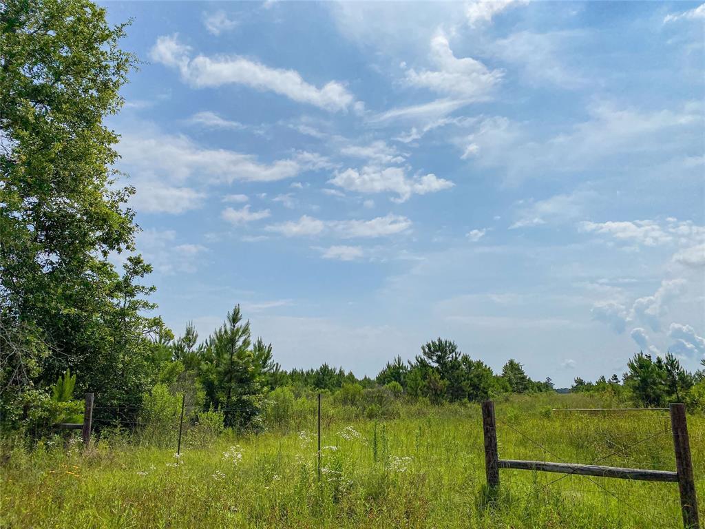 0000000 Red Hollow Rd, Leggett, Texas image 17